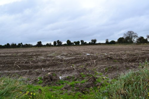 Ploughed Field at Kilcrea on the northern shore of the Broadmeadow estuary. On her travels about north county Dublin, Stacpoole would have found many flints in fields just like this.